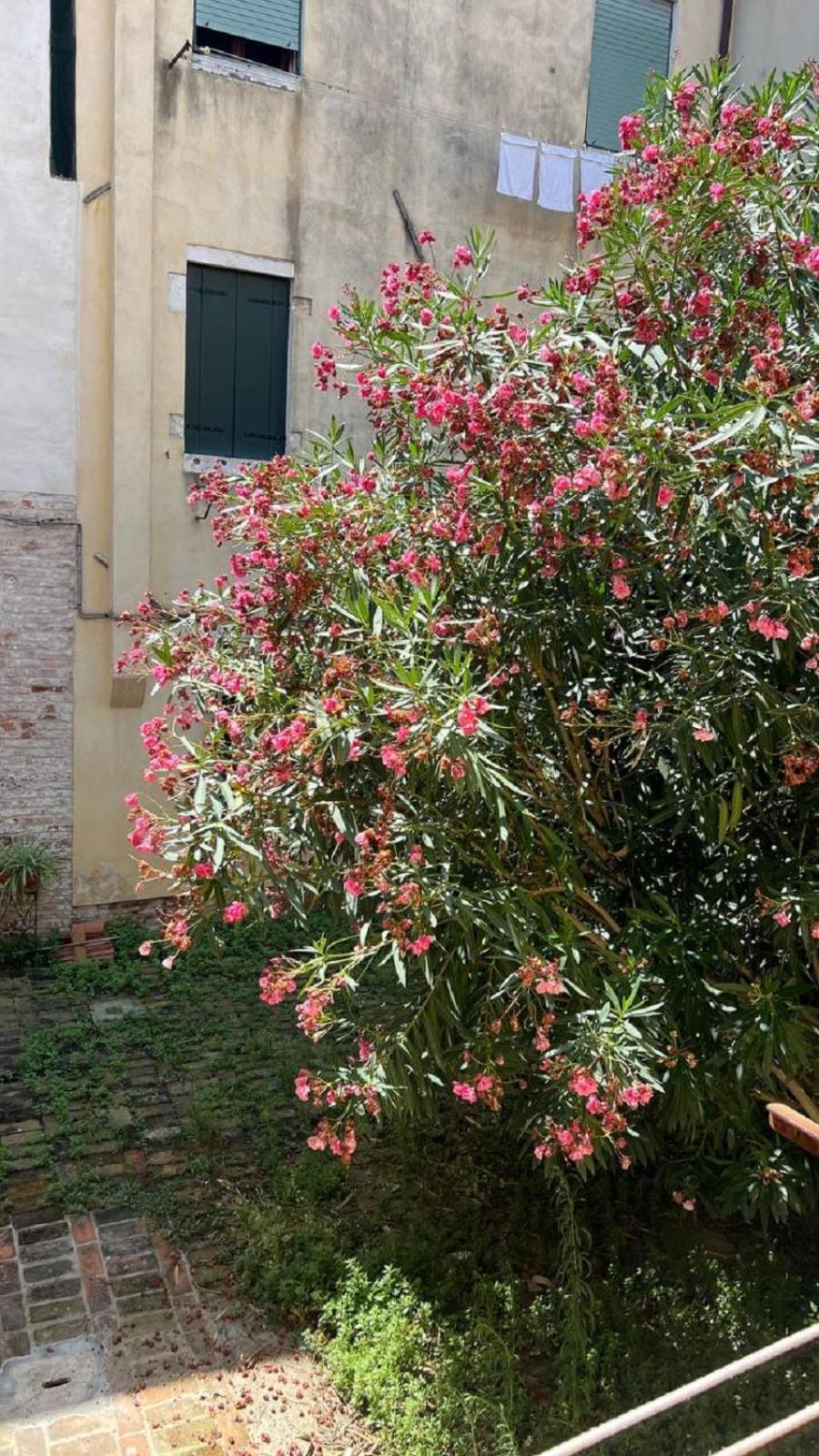 Ania Apartment Venezia Esterno foto